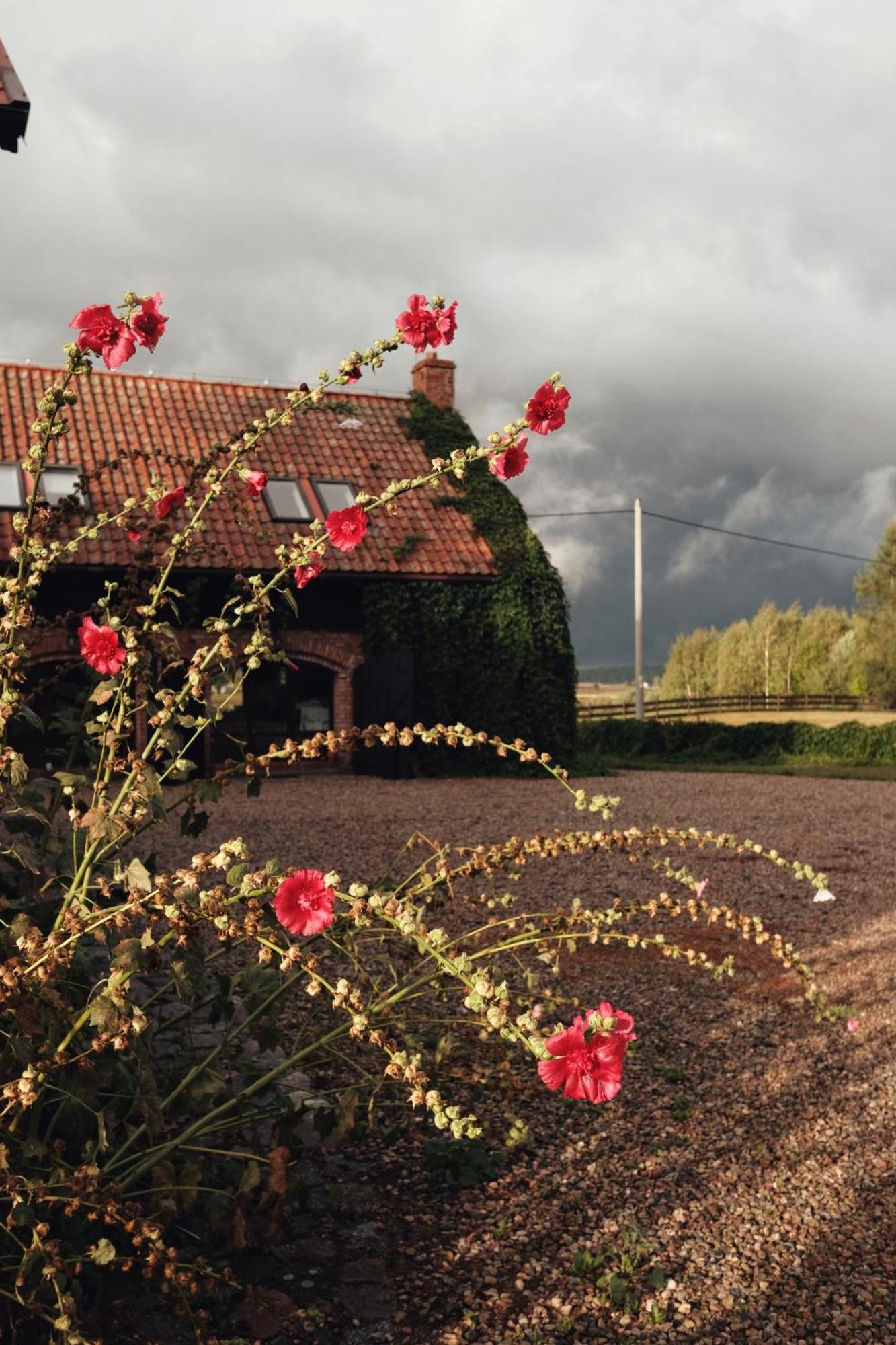 Siedlisko Maria Jablonowo Villa ภายนอก รูปภาพ